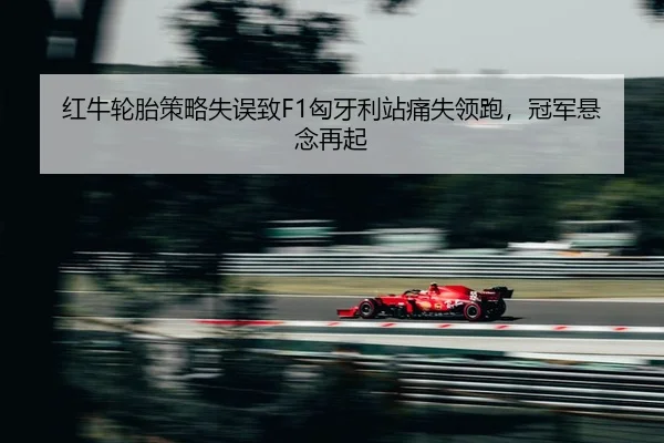 hong-niu-lun-tai-ce-lve-shi-wu-zhi-xiong-ya-li-zhan-tong-shi-ling-pao-guan-jun-xuan-nian-zai-qi-2-224.jpg