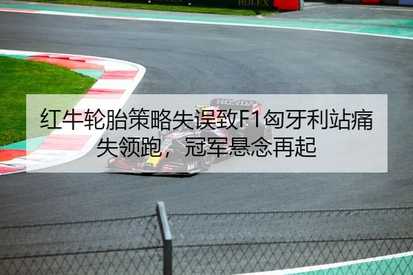 红牛轮胎策略失误致F1匈牙利站痛失领跑，冠军悬念再起
