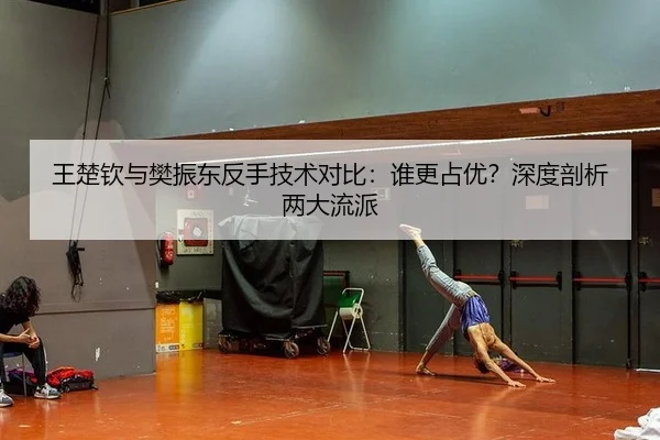 王楚钦与樊振东反手技术对比：谁更占优？深度剖析两大流派