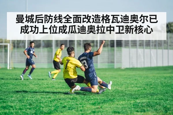 曼城后防线全面改造格瓦迪奥尔已成功上位成瓜迪奥拉中卫新核心